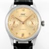 IWC Portugieser Replica Watches IW501705 Dune Dial APS